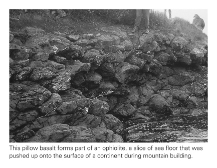 Pillow basalts,shown below,attain their distinctive blob-like shapes because their parent lavas do not travel far prior to solidification.This is because the parent lavas ____________.   A)  are completely devoid of volatiles and thus travel slowly B)  erupt underwater and thus cool very quickly C)  are highly felsic and thus travel slowly D)  are ultramafic and thus freeze at exceptionally high temperatures