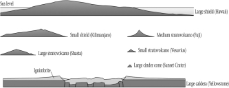 Of the three primary forms of subaerial volcanoes,____________ have the most gently sloping sides,due to the low viscosity of the basaltic lavas that form them.   A)  stratovolcanoes B)  cinder cones C)  shield volcanoes