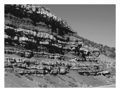 Geologists call individual layers of sedimentary rocks _____________,whereas several of them together are called ____________.   A)  beds; strata B)  strata; beds