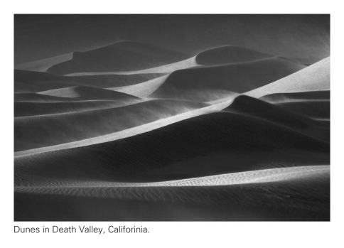Ripples,dunes,and cross bedding are sedimentary structures that can be used to help determine _____________.   A)  wind direction B)  current direction C)  past environments D)  All of the above are correct.