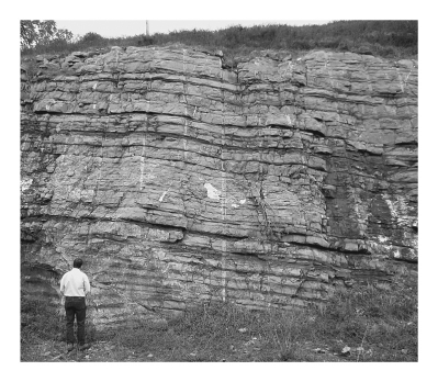 Consult the figure below.Limestone is most likely formed in which of the following environments?   A)  shallow-marine clastic B)  shallow-marine carbonate C)  marine delta D)  deep marine
