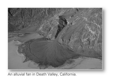 Death Valley,part of the Basin and Range Province,has been sinking partially due to the weight of continuously accumulating sediment shed from the Black and Panamit Mountains that border the valley.What phenomenon is this an example of,and what depositional environment is created by the sediment deposition?   A)  regression and deltas B)  subsidence and deltas C)  regression and alluvial fans D)  subsidence and alluvial fans