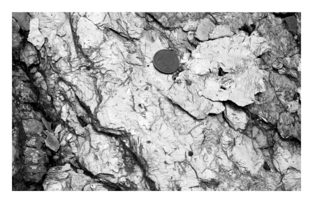 Clay minerals within a buried body of slate are recrystallized at high temperatures and pressures to form mica,producing a rock called phyllite; this is an example of ____________.   A)  diagenesis B)  erosion C)  metamorphism D)  weathering