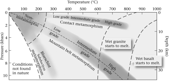 Consult the figure below.Compared to low-grade metamorphic rocks,high-grade rocks ____________.   A)  only occur at depths of 30 km B)  are produced closer to the surface, high in the stratigraphic column C)  are produced at greater temperatures and pressures D)  are produced at cooler temperatures, but greater pressures