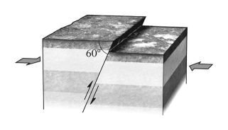 If,during an earthquake,a hanging wall slides upward relative to a footwall,the fault is termed ____________ if the fault is steep (closer to vertical than horizontal) .   A)  normal B)  reverse C)  strike slip D)  thrust