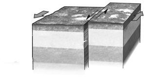 If a fault is nearly vertical in orientation and the two walls of rock on opposite sides slide past one another horizontally,the fault is termed ____________.   A)  normal B)  reverse C)  strike slip D)  thrust