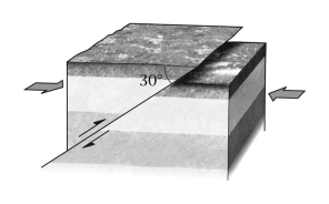 If,during an earthquake,a hanging wall slides upward relative to a footwall,the fault is termed ____________ if the fault is shallow (much closer to horizontal than vertical) .   A)  normal B)  reverse C)  strike slip D)  thrust