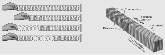 A coiled spring would be useful in illustrating a ____________ wave.   A)  surface B)  body C)  shear D)  compressional