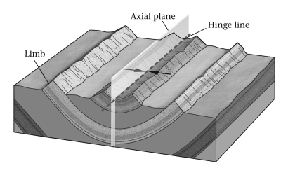 A fold shaped like an elongate trough is a(n) ____________.   A)  anticline B)  basin C)  dome D)  syncline