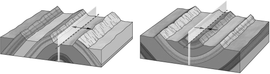 The sides of a fold,where curvature is at a minimum,are termed ____________.   A)  branches B)  limbs C)  axial planes D)  hinges