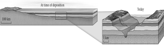 If the lithology and fossil content of two bodies of rock on opposite sides of a canyon are identical,then these remaining outcrops were likely physically connected at one time and formed part of an extensive,sheet-like layer of rock.This idea summarizes the principle of ____________.   A)  superposition B)  original continuity C)  original horizontality D)  uniformitarianism