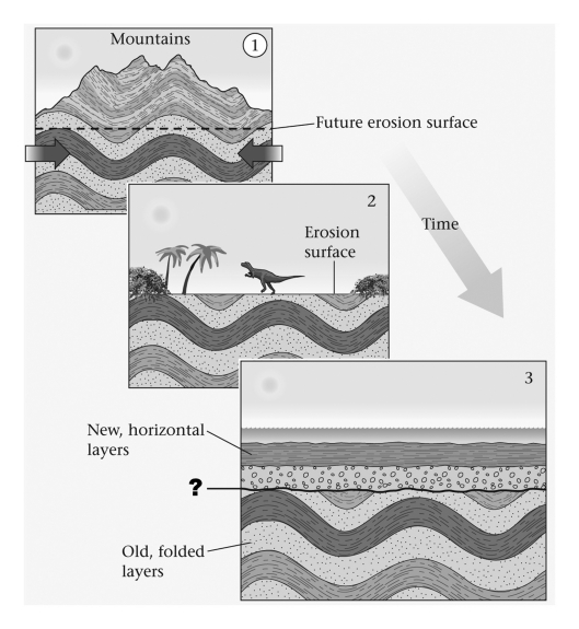 If horizontal sedimentary strata overlie tilted strata (and no fault is present) ,the surface between the horizontal and tilted strata must be a(n) ____________.   A)  conformable sedimentary contact B)  angular unconformity C)  disconformity D)  nonconformity