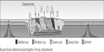 What term or phrase would best apply to the letters A,B,C,D and E in the figure below?   A)  accreted terranes B)  orogeny C)  superplume D)  K-T boundary event