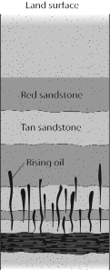 In the figure below,which is NOT a reason for the oil to migrate to the Earth's surface?   A)  It is hot and flows upward because of its temperature. B)  It is lighter than any groundwater, and so it will rise through groundwater. C)  There is nothing that looks like a trap rock above it, to prevent it from rising. D)  It is under pressure and migrates upward toward lower pressure.