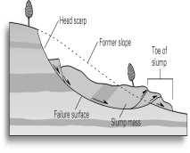 If the slump shown below had occurred many thousands of years before,and the head scarp and toe were no longer visible,how might you infer the presence of this slump?   A)  Look for bent-over trees. B)  Look for sedimentary layers that were dipping at different angles from those nearby. C)  Look for an unusually steep slope. D)  Apply absolute age-dating techniques.
