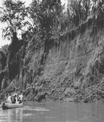 Which of the following processes probably caused the failure of this riverbank in Costa Rica?   A)  a combination of higher river level and stronger current after a recent storm B)  a lahar from one of Costa Rica's volcanoes C)  a rock slide triggered by an earthquake D)  soil creep