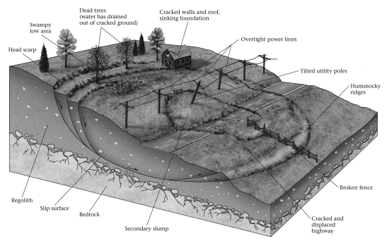 Which features in the figure are indicative of ongoing or recent slump movement?   A)  dead trees B)  sinking foundations C)  tilted utility poles D)  All of the above are correct.