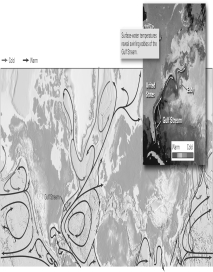 Based on the thermal image of the Gulf Stream (the inset box below) ,what would you conclude about the effects of ocean currents on the heat and temperature variations between equatorial regions and the poles?   A)  Ocean currents move colder water parallel to the equator. B)  Ocean currents move colder water toward equatorial seas. C)  Ocean currents move warmer water toward polar regions. D)  Both b and c are correct.