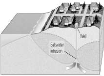 The well shown in this figure has become  contaminated  with naturally occurring salt water,drawn toward it because too much water was pumped from it for too long.What would be an easy way to restore the aquifer,that is,to push the saline groundwater back toward the ocean?   A)  Cover the near-shore sea bottom with heavy plastic and concrete to prevent more seawater from entering the aquifer. B)  Install a line of wells between your  contaminated  well and the coast, and place desalination equipment in each one, to remove salinity from the aquifer. C)  Convert your  contaminated  well into an injection well and begin to pump freshwater into the aquifer through it. D)  Increase the amount of rainfall that occurs just inland from your  contaminated  well.