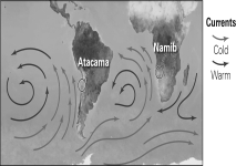 If the two counterclockwise ocean current cells shown below were to reverse their directions of flow,what would happen to the Atacama and Namib deserts?   A)  Each would probably become larger and drier. B)  There would probably be no significant change to them. C)  They would probably experience more rainfall and might disappear. D)  They would probably experience tectonic subsidence.