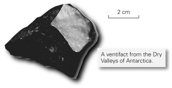 Why would the Antarctic ventifact shown below be black?   A)  It is made of dolomite. B)  It has been carbonized. C)  It is coated with desert varnish. D)  It formed from coal.