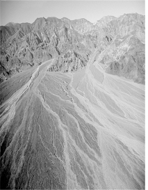 It appears as if more recent channels in the alluvial fan complex shown below are lighter in color than the general surface of the fan.What geologic process could have caused this effect?   A)  removal of desert-varnished clasts during formation of the channels, thus exposing less varnished and lighter colored material B)  the longer and bigger growth of plants on the areas between the recent channels, which from this far away cause the intrachannel areas to appear darker C)  transport of a large amount of dark-colored material out of the canyons during recent storms D)  the formation of inselbergs