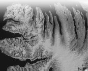 Which feature in the the photo below would a geologist study to infer that running water was the primary agent to have formed the landscape in the photo?   A)  the sand dunes B)  the dendritic patterns C)  the alluvial fans D)  the volcanoes