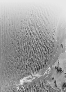 Why do the sand dunes in the west vary from those in the east in the figure below?   A)  The average size of the sand clasts differs in the two areas. B)  There is slightly more rain to the east. C)  The material to the east is closer to an igneous-rock source area, from which the dune sediment is significantly derived. D)  The winds are predominantly in one direction in the west but blow more complexly in the east.
