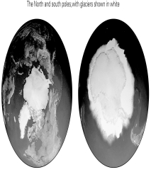 The figure below shows the North Pole/Arctic (left) and South Pole/Antarctica (right) .Which of the following is probably NOT a difference between the two?   A)  the proportion of dropstones in recent ocean sediments B)  the abundance of icebergs C)  the relative climatological isolation of each from nearby unglaciated landmasses D)  the effects of sea ice versus open water, on the reflection of solar radiation (sunlight) 