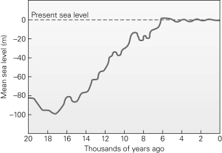 Approximately how much has sea level risen since the last ice age ended,approximately 11,000 years ago?   A)  3-4 m B)  10-20 m C)  35-40 m D)  110-120 m