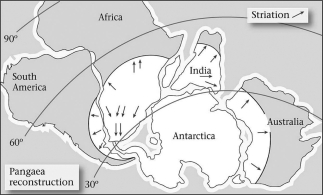 Late Paleozoic glacial deposits are NOT found in which of the following places?   A) India B) southern Africa C) North America D) South America