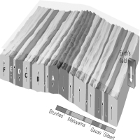 Using the image below,which marine magnetic anomalies show a reversed polarity?   A) A,D,E B) A,B,F C) B,C,F D) C,D,F
