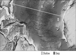 According to the image below,where is new oceanic crust being formed?   A) A B) B C) C D) D