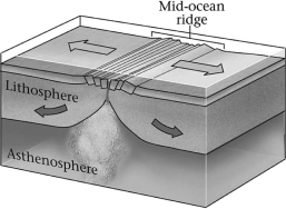 Which basic type of plate boundary is shown in the image below?   A) divergent B) convergent C) transvergent D) transform