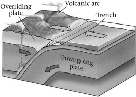 Which basic type of plate boundary is shown in the image below?   A) divergent B) convergent C) transvergent D) transform