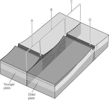 The image below shows a view of a typical segmented mid-ocean ridge.Which letter below marks the location of the active transform fault?   A) A B) B C) C D) D