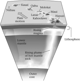 Consult the figure below.Hawaii is an example of ________.   A) hot-spot volcanism B) mid-ocean-ridge volcanism C) a volcanic island arc formed by subduction D) transform margin