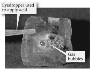 The image below shows a mineral with hydrochloric acid applied to it.What mineral is this?   A) quartz B) halite C) calcite D) fluorite