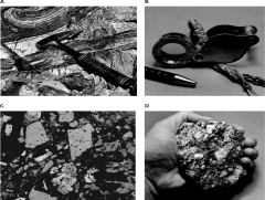 Which of the following images shows a hand specimen?   A) A B) B C) C D) D