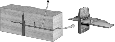 In the figure provided below,what type of igneous intrusion is the horizontal rock unit shown by letter A?   A) dike B) sill C) pluton D) laccolith