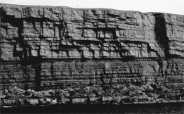 The following is a picture of what type of phenomenon?   A) jointing B) differential weathering C) chemical weathering D) hydration