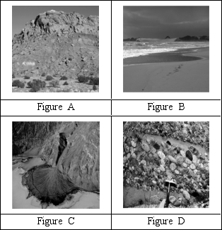 Which of the following images does NOT contain sediment?   A) Figure A B) Figure B C) Figure C D) Figure D