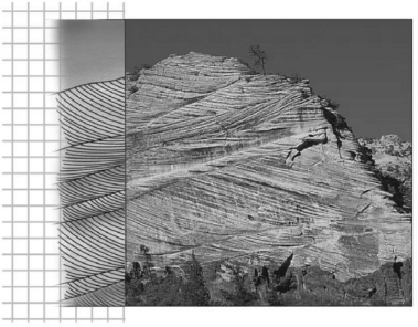 Consult the figure below.Here,distinct internal laminations are inclined at an angle to the boundary of the main sedimentary layers.This is termed ________.   A) graded beds B) cross beds C) horizontal beds D) tilted beds