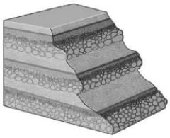 The image below shows a series of graded beds.How many full sets of graded beds are shown?   A) 1 B) 3 C) 12 D) 15