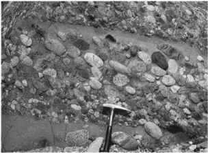 The image below shows an outcrop of coarse-grained sedimentary rock.Note the rock hammer for scale.What is the name of this rock type?   A) sandstone B) shale C) breccia D) conglomerate