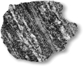 The image below shows ________.   A) foliation B) migmatites C) pressure solution D) metasomatism