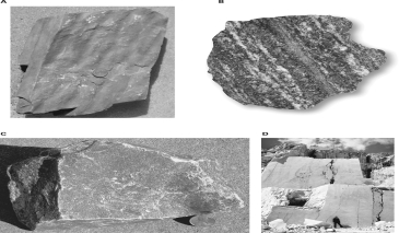 Which of the following images is of a foliated metamorphic rock?   A) A B) B C) C D) D