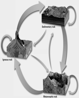 What is the name of the cycle shown in the picture?   A) hydrologic cycle B) erosion cycle C) rock cycle D) carbon cycle