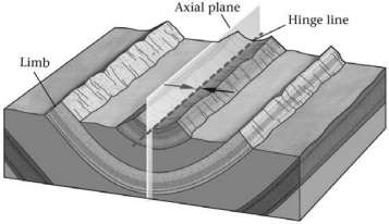 The fold in the image below is a(n) ________.   A) anticline B) basin C) dome D) syncline
