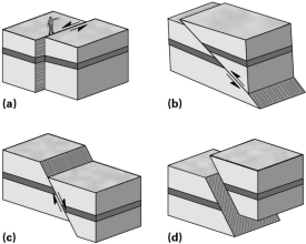 Which fault below could result from both strike-slip and dip-slip stresses?   A) A B) B C) C D) D